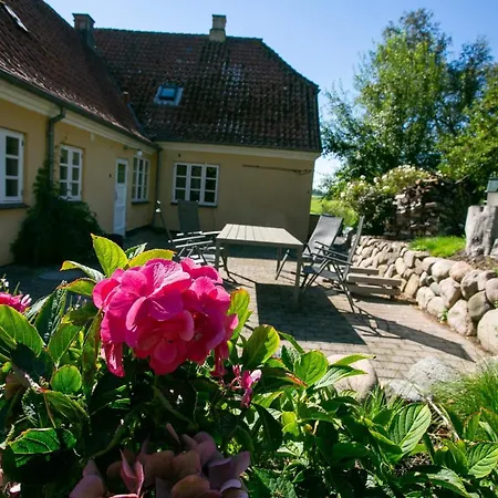 7 Person In Tranekaer-by Traum *